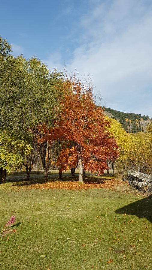 Rivermount Motel Little Fort Екстер'єр фото